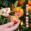 正宗佛冈砂糖桔整箱5斤 橘子皮薄多汁 新鲜上市  全国非偏远地区包邮 商品缩略图2