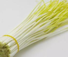 新鲜蒜黄1斤/份