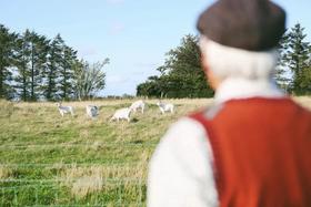 关于羊绒的奇妙旅行 