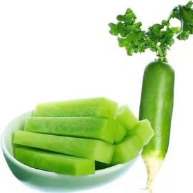 正宗潍坊水果萝卜2斤/份