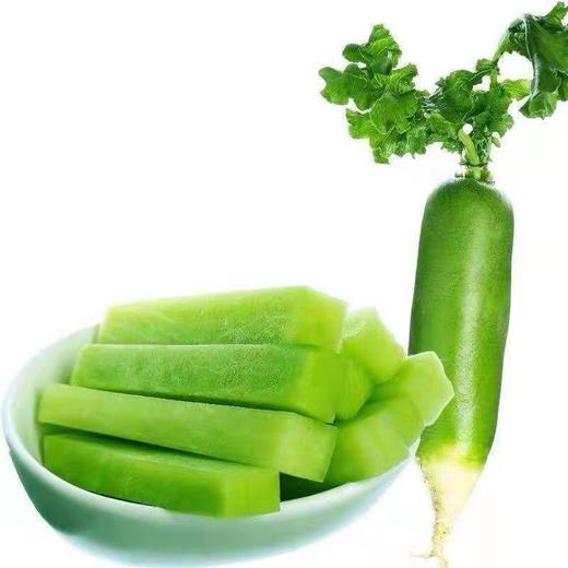 正宗潍坊水果萝卜2斤/份 商品图0