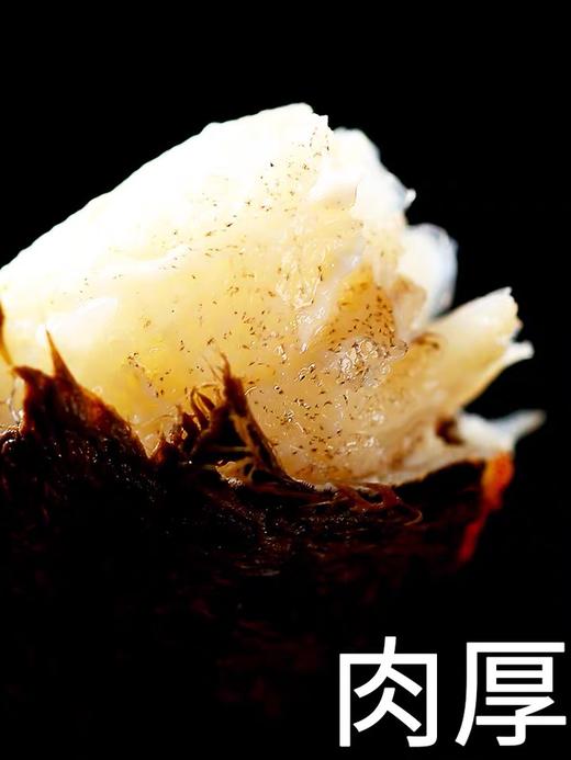 三只大闸蟹鲜活海鲜水产   两母一公 共三只 商品图11