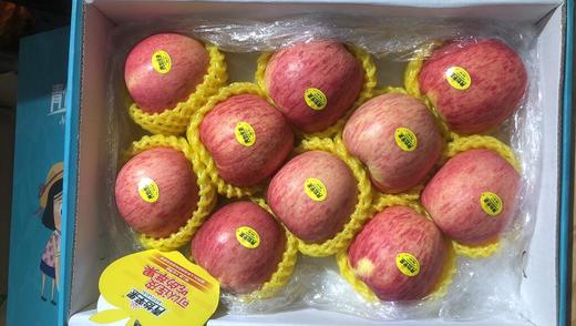 青怡苹果礼盒装(10头)