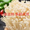 新鲜金针菇 500克/份 商品缩略图1