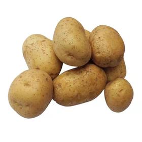新鲜土豆农家蔬菜3斤/份