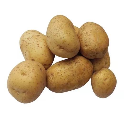 新鲜土豆农家蔬菜3斤/份 商品图0