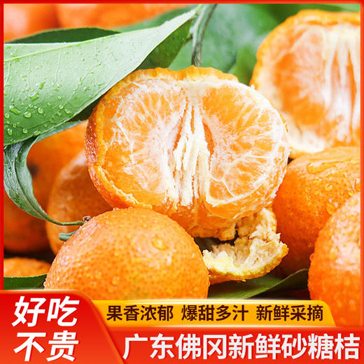 正宗佛冈砂糖桔整箱5斤 橘子皮薄多汁 新鲜上市  全国非偏远地区包邮 商品图0