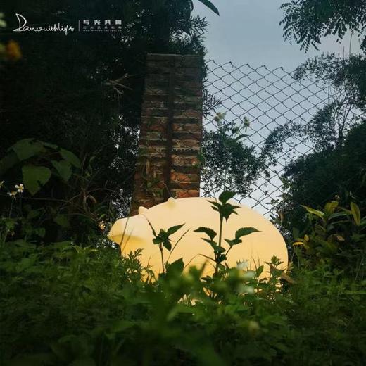 与光共舞 猪猪艺术灯 商品图3