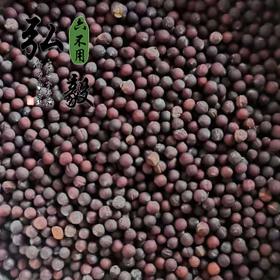 【弘毅六不用生态农场】六不用 鸡毛菜籽  10克/份 约2000粒