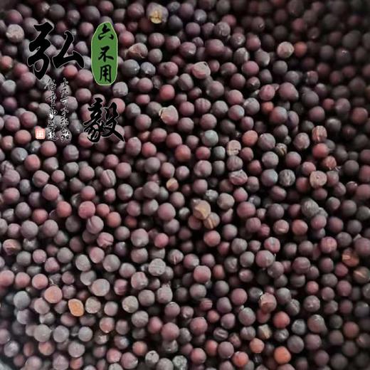 【弘毅六不用生态农场】六不用 鸡毛菜籽  10克/份 约2000粒 商品图0