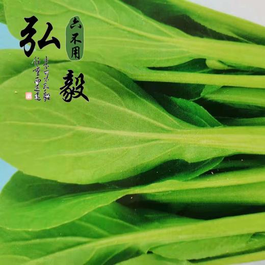 【弘毅六不用生态农场】六不用 鸡毛菜籽  10克/份 约2000粒 商品图3