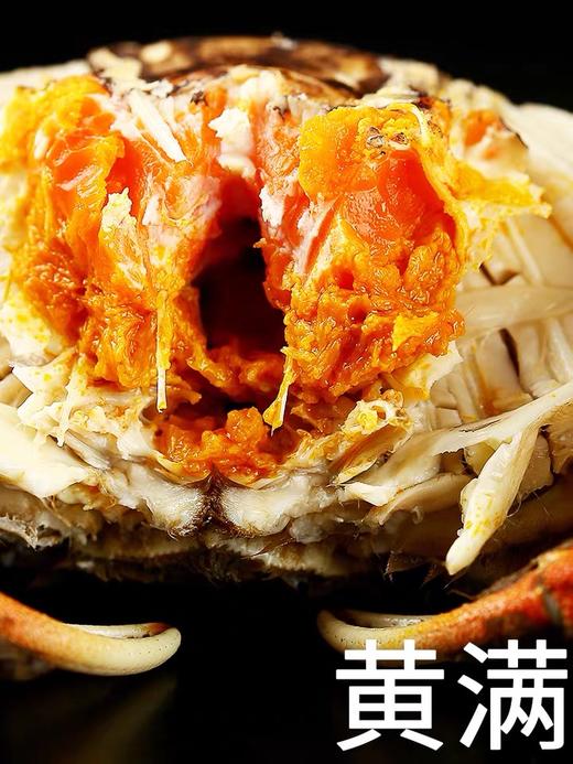 三只大闸蟹鲜活海鲜水产   两母一公 共三只 商品图4