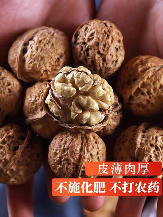 薄皮核桃 1斤装薄壳散装坚果 500g±50g 商品图5