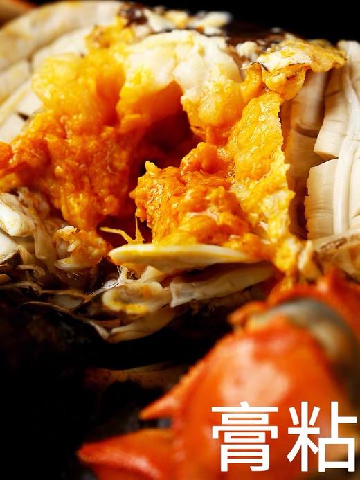 三只大闸蟹鲜活海鲜水产   两母一公 共三只 商品图3