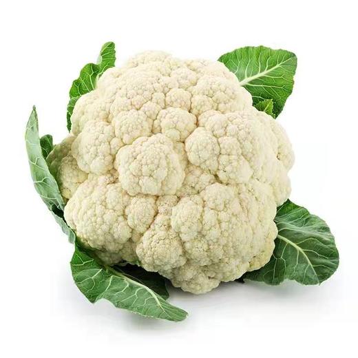 现摘菜花新鲜白菜花3斤/份 商品图0