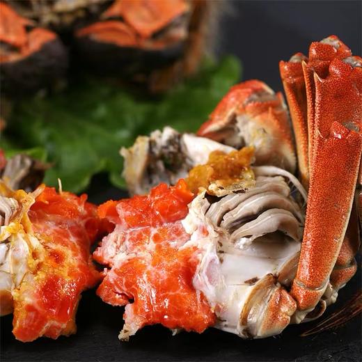 三只大闸蟹鲜活海鲜水产   两母一公 共三只 商品图6