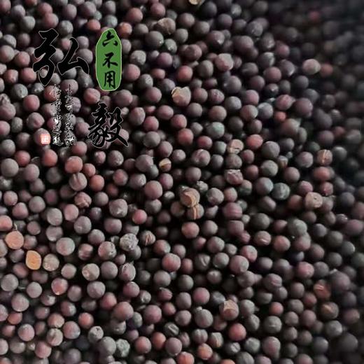 【弘毅六不用生态农场】六不用 鸡毛菜籽  10克/份 约2000粒 商品图1