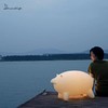与光共舞 猪猪艺术灯 商品缩略图4