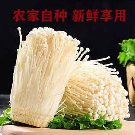 新鲜金针菇 500克/份