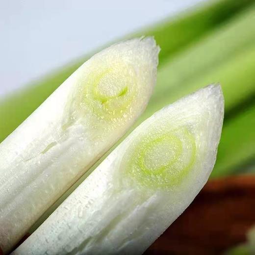 章丘大葱长白1斤/份 商品图2