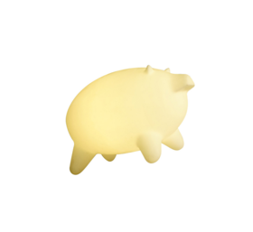 与光共舞 猪猪艺术灯