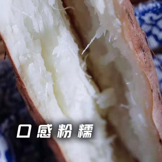 铁杆山药3斤/份 商品图2