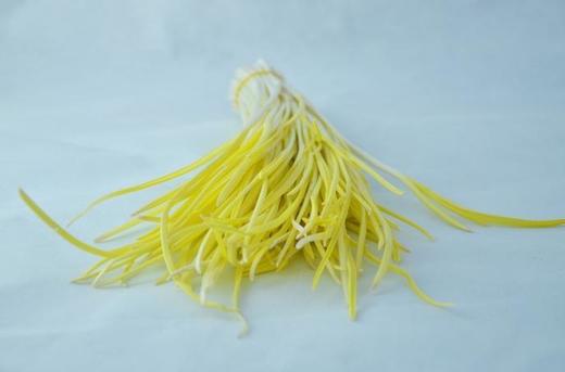 新鲜蒜黄1斤/份 商品图1