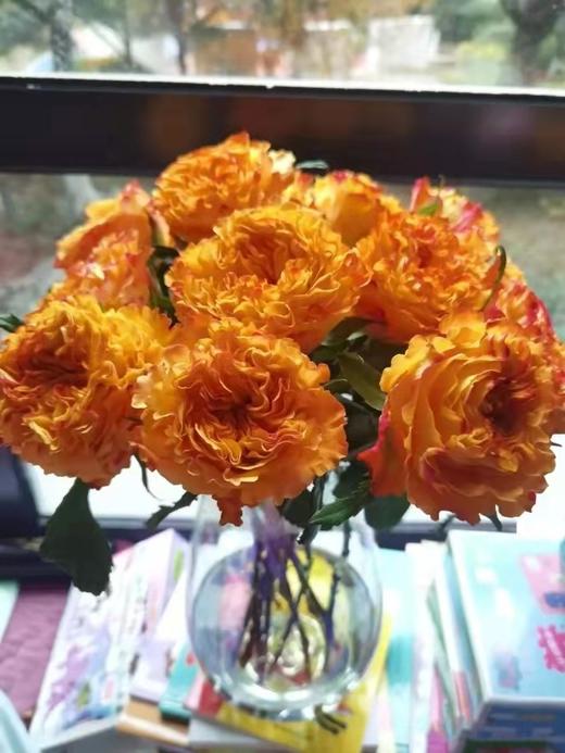 玫瑰.橙色风暴【10枝】