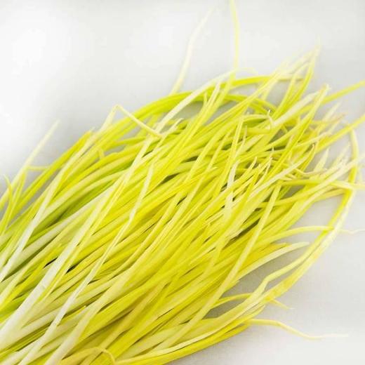 新鲜蒜黄1斤/份 商品图2