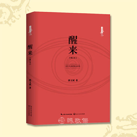 醒来（修订版）寻找安详系列郭文斌老师现代文学散文幸福生活心理 商品图0