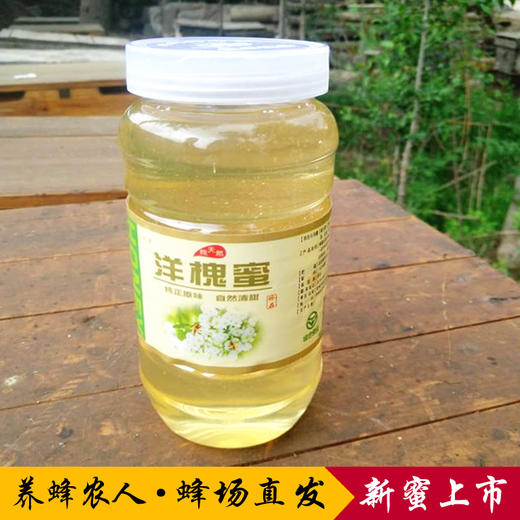 【常州馆】洋槐蜂蜜纯天然农家自产自销纯正宗槐花蜂蜜新鲜洋槐花蜂蜜1000克 商品图0