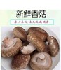 新鲜香菇蔬菜火锅涮菜鲜食500克/份 商品缩略图1