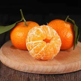 正宗广西砂糖橘500克