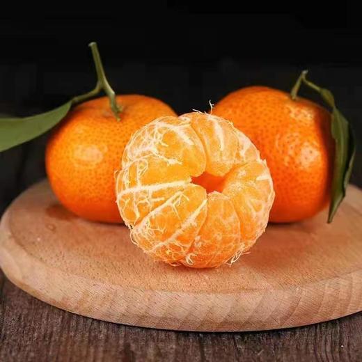 正宗广西砂糖橘500克 商品图0