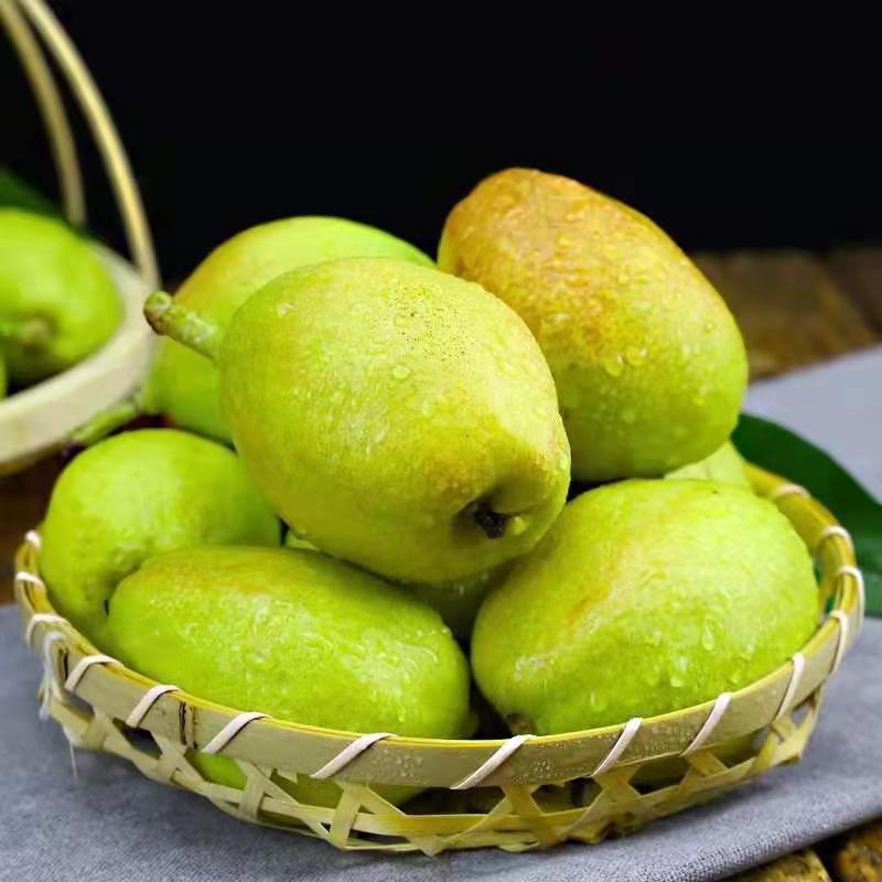 新疆库尔勒一级香梨500克/份