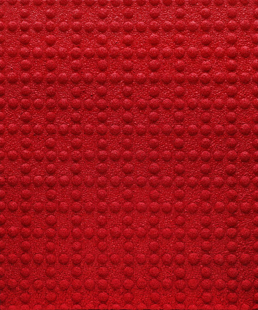 唐国志 | 极限方程式15 商品图0