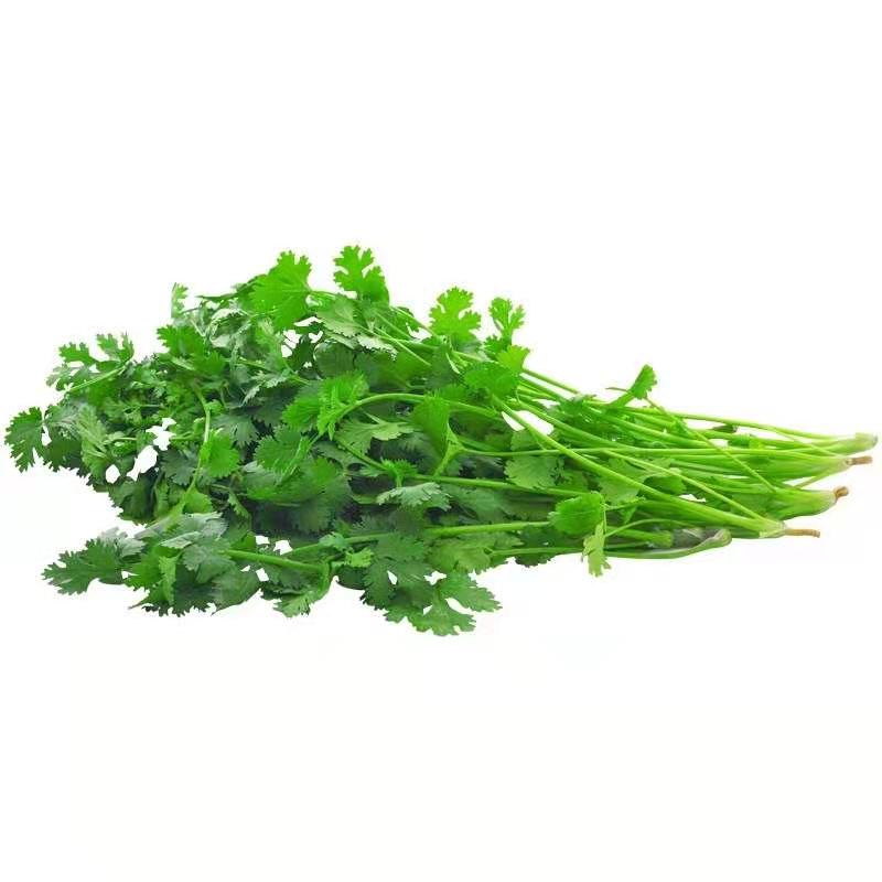 新鲜农家自种蔬菜香菜250克/份