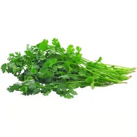 新鲜农家自种蔬菜香菜250克/份