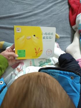 《小鸡球球成长系列图画书》：原来书也可以让小宝贝安静下来！