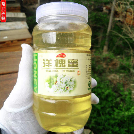 【常州馆】洋槐蜂蜜纯天然农家自产自销纯正宗槐花蜂蜜新鲜洋槐花蜂蜜1000克 商品图3