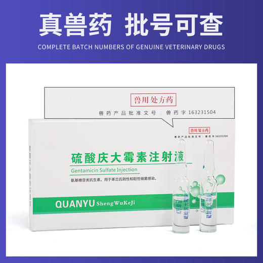 买5送1华畜兽药硫酸庆大霉素注射液10支败血症呼吸道感染用于革兰氏