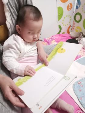 《小鸡球球成长系列图画书》：虽然不是玩具书，但是趣味性也挺强的