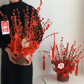 新年旺运 红福 · 银柳迎春