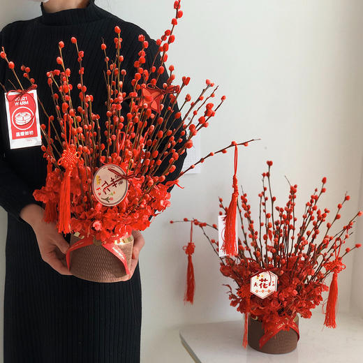 新年旺运 红福 · 银柳迎春 商品图0