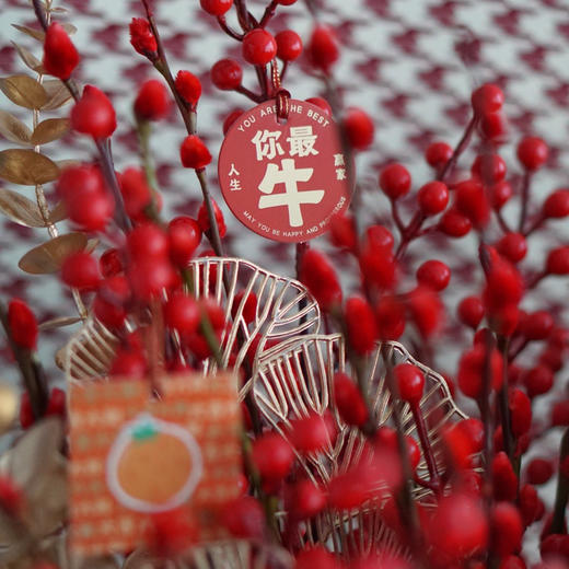 新年旺运 六六顺·恭贺新春 商品图2