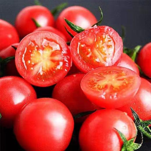 原产地直发现摘圣女果500克 商品图0