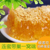 【常州馆】蜂巢蜜500g蜂巢蜜嚼着吃土蜂蜜纯正天然农家自产蜂窝蜜巢野生峰蜜 商品缩略图0