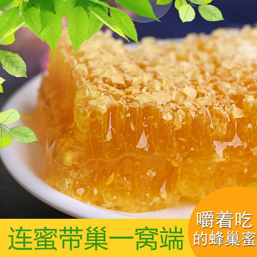 【常州馆】蜂巢蜜500g蜂巢蜜嚼着吃土蜂蜜纯正天然农家自产蜂窝蜜巢野生峰蜜 商品图0