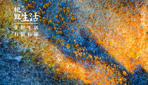 杞冠幸福V卡 商品图0