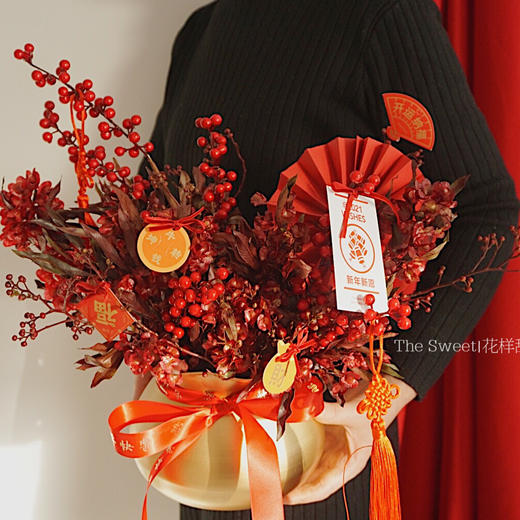 新年旺运 喜气洋洋迎客豆 家居年宵花 商品图2